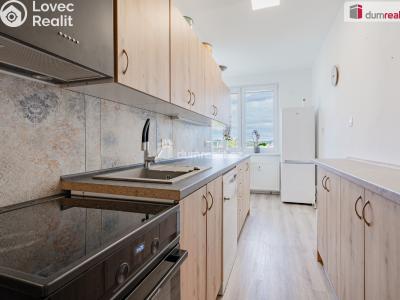 Pronájem bytu 3+1 Český Krumlov, Sídliště Plešivec č. 2