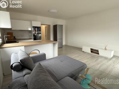 Оренда квартири 2+KK Trhové Sviny, Za Pilou č. 5