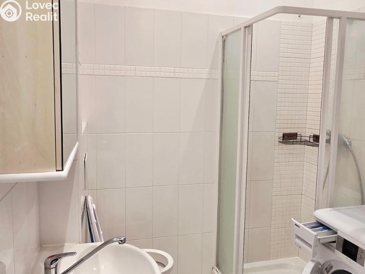 Pronájem bytu 1+KK Praha, Spolupráce č. 3