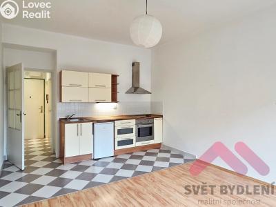 Pronájem bytu 1+KK Praha, Spolupráce č. 4