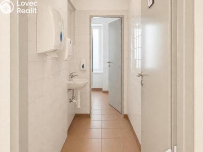 Pronájem obchodního prostoru Brno, Kounicova č. 5