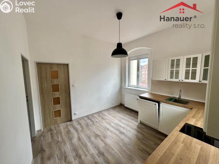 Pronájem bytu 1+1 Děčín, Teplická č. 3