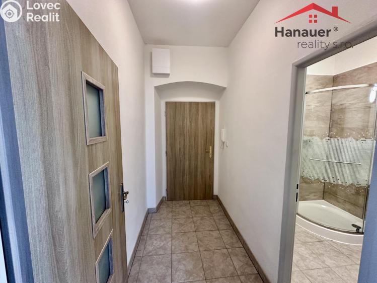 Pronájem bytu 1+1 Děčín, Teplická č. 9