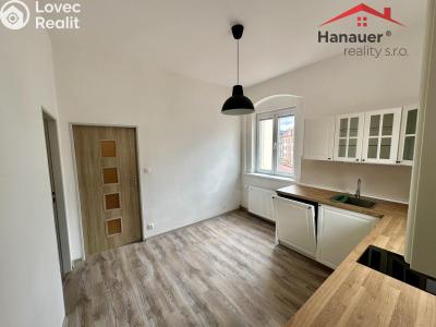 Pronájem bytu 1+1 Děčín, Teplická č. 3