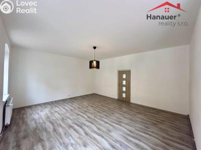 Pronájem bytu 1+1 Děčín, Teplická č. 6