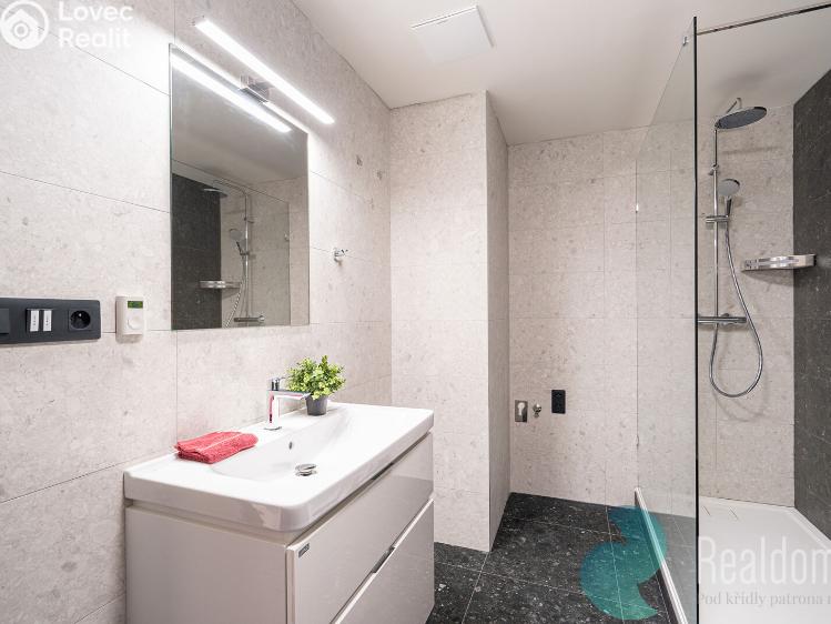 Pronájem bytu 3+KK České Budějovice č. 9