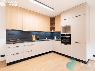 Pronájem bytu 3+KK České Budějovice č. 1