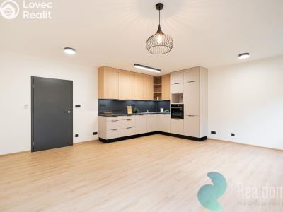 Pronájem bytu 3+KK České Budějovice č. 2