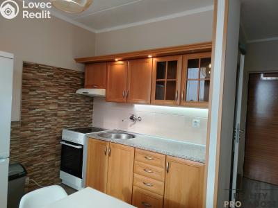 Pronájem bytu 1+1 Znojmo, Dukelských bojovníků č. 2