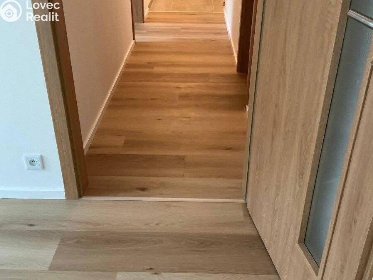 Pronájem bytu 2+KK Praha, Hodkovická č. 4