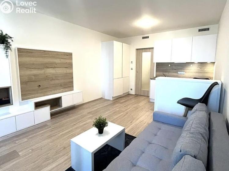 Pronájem bytu 1+KK Praha, Kurta Konráda 2517/1 č. 7