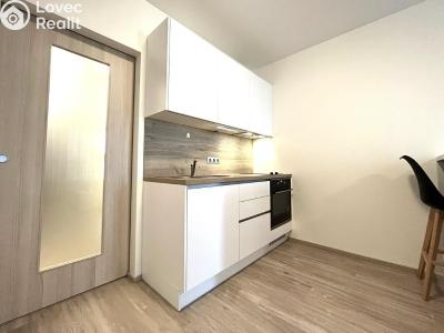 Rent apartment 1+KK Praha, Kurta Konráda č. 1