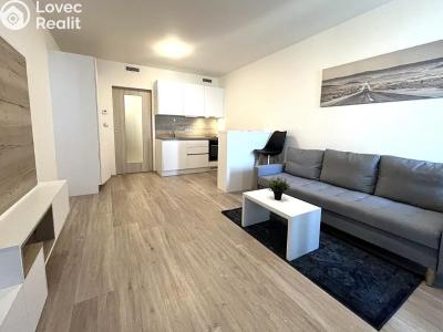 Rent apartment 1+KK Praha, Kurta Konráda č. 2