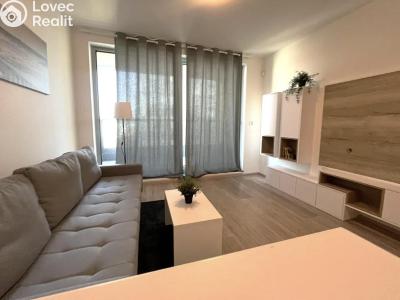 Rent apartment 1+KK Praha, Kurta Konráda č. 3