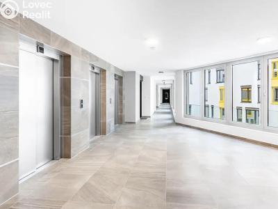 Rent apartment 1+KK Praha, Kurta Konráda č. 5