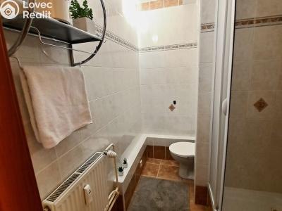 Rent apartment 1+1 Brno, Součkova č. 5