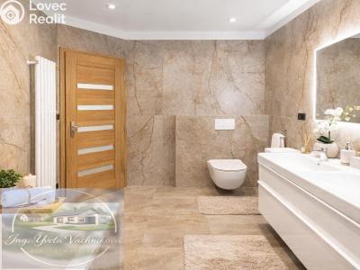 Продаж сімейного будинку Lužec nad Cidlinou č. 5