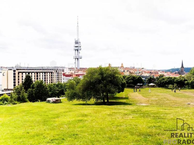 Pronájem bytu 3+KK Praha, Biskupcova č. 11