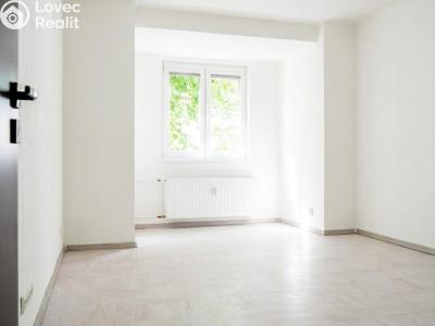 Pronájem bytu 3+KK Praha, Biskupcova č. 4