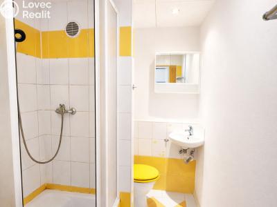 Prodej bytu 1+1 Staňkov, Na Tržišti č. 5