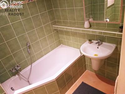 Pronájem bytu 1+1 Brno, Poznaňská č. 5