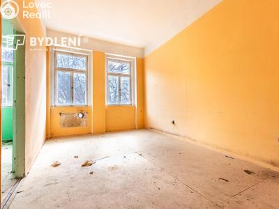 Sale apartment building Teplice, U Kamenných lázní č. 1