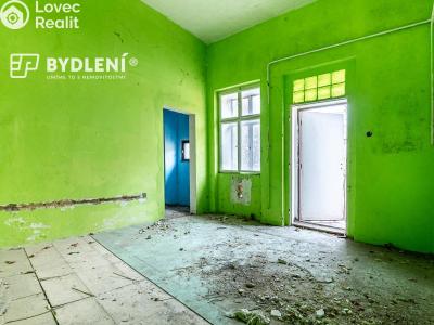 Продаж багатоквартирного будинку Teplice, U Kamenných lázní č. 11