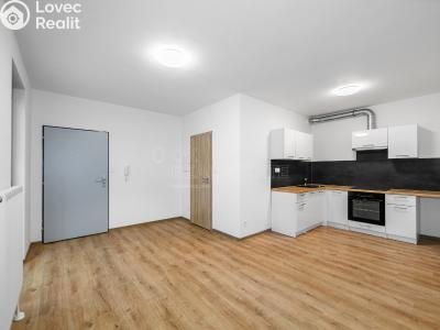 Оренда квартири 2+KK Plzeň, Poděbradova č. 2