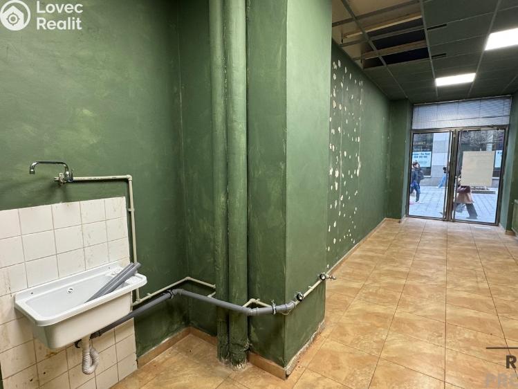 Rent commercial space Brno č. 1