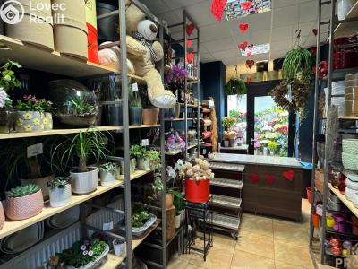 Rent commercial space Brno č. 3