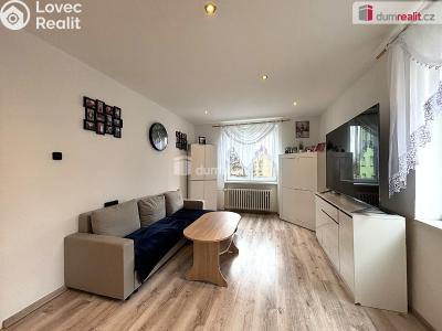 Prodej bytu 2+1 Sokolov, Sokolovská č. 5