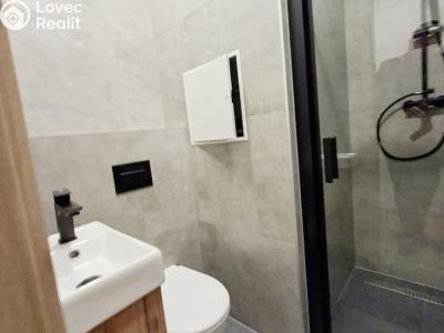 Продажа квартиры 1+KK Karviná, Březová č. 6