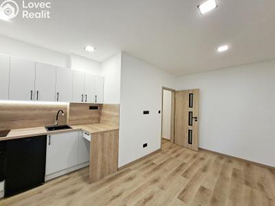 Sale apartment 1+KK Karviná, Březová č. 1