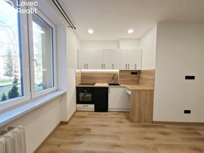 Sale apartment 1+KK Karviná, Březová č. 5