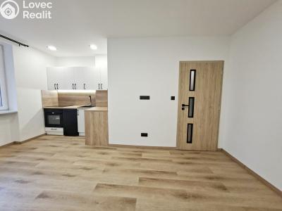Prodej bytu 1+KK Karviná, Březová č. 9
