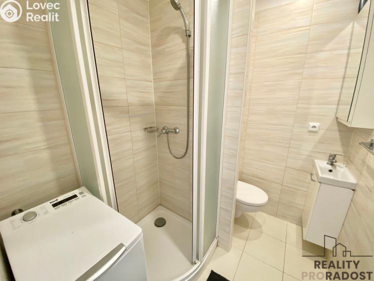 Pronájem bytu 1+1 Prostějov, Dobrovského č. 8