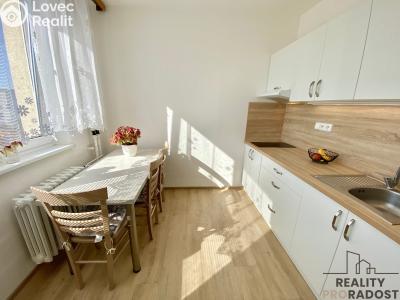 Pronájem bytu 1+1 Prostějov, Dobrovského č. 6