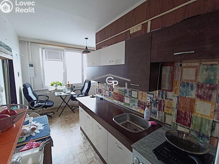 Pronájem bytu 1+1 České Budějovice, K. Šafáře č. 2