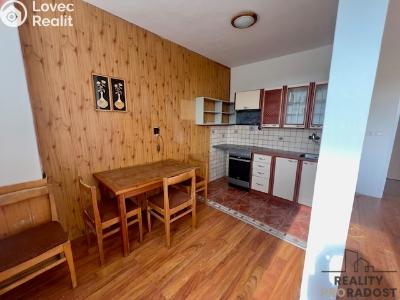 Pronájem bytu 3+KK Hodonín, Nesyt č. 1