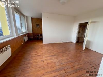 Pronájem bytu 3+KK Hodonín, Nesyt č. 3