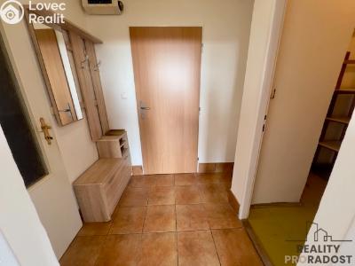 Pronájem bytu 3+KK Hodonín, Nesyt č. 5