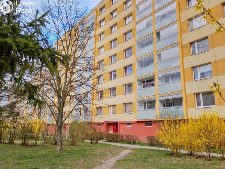 Pronájem bytu 2+1 Roudnice nad Labem, Bořivojova 1769 č. 1