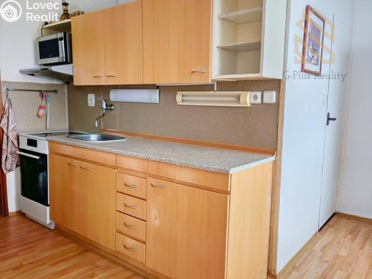 Pronájem bytu 2+1 Roudnice nad Labem, Bořivojova 1769 č. 2