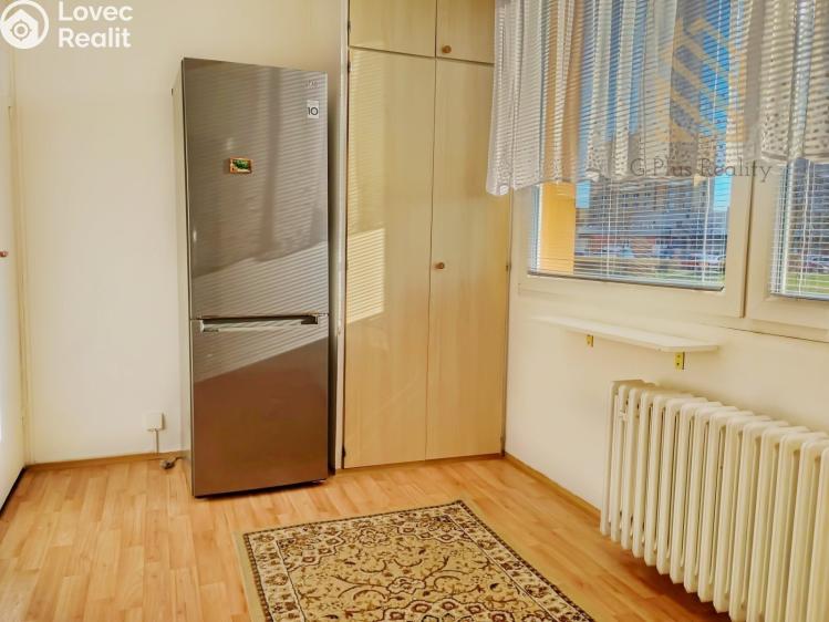 Pronájem bytu 2+1 Roudnice nad Labem, Bořivojova 1769 č. 3