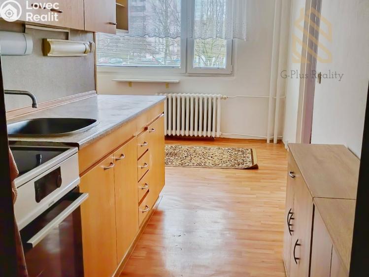 Pronájem bytu 2+1 Roudnice nad Labem, Bořivojova 1769 č. 7