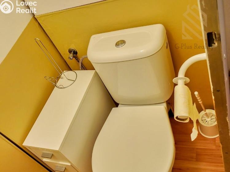 Pronájem bytu 2+1 Roudnice nad Labem, Bořivojova 1769 č. 9