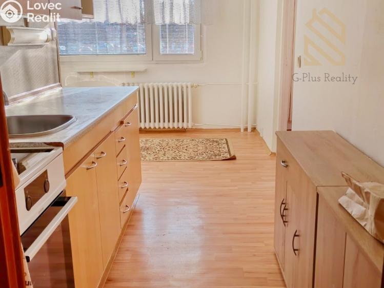 Pronájem bytu 2+1 Roudnice nad Labem, Bořivojova 1769 č. 13