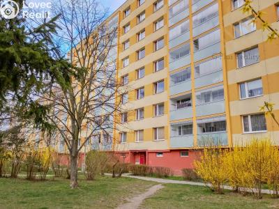 Pronájem bytu 2+1 Roudnice nad Labem, Bořivojova 1769 č. 1