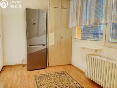 Pronájem bytu 2+1 Roudnice nad Labem, Bořivojova 1769 č. 3