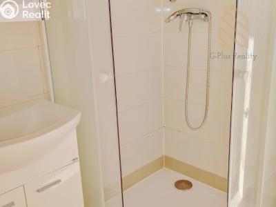 Pronájem bytu 2+1 Roudnice nad Labem, Bořivojova 1769 č. 5